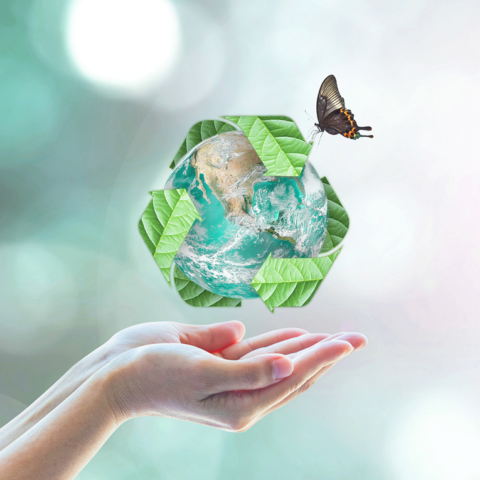 MG Waste Management – Brighton Grammar Community Directory